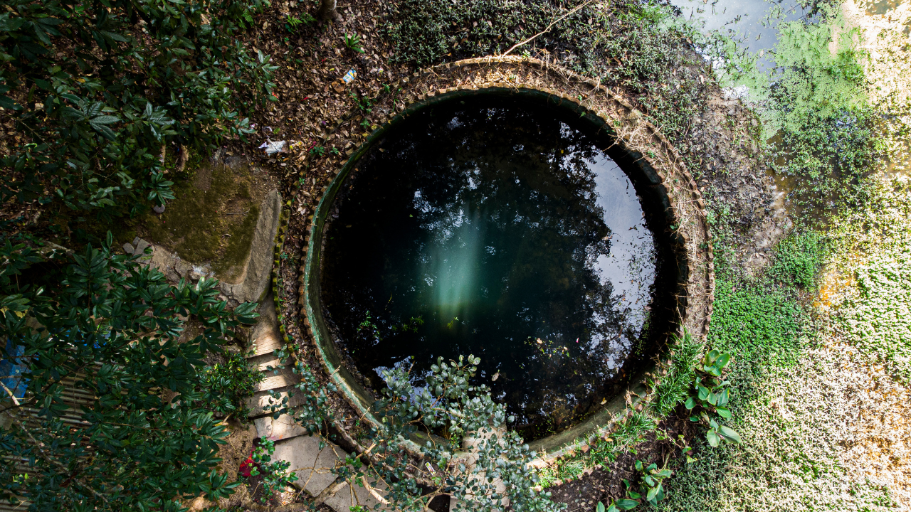 Overhead view of a circular well, dark water surrounded by stone, overgrown with greenery.