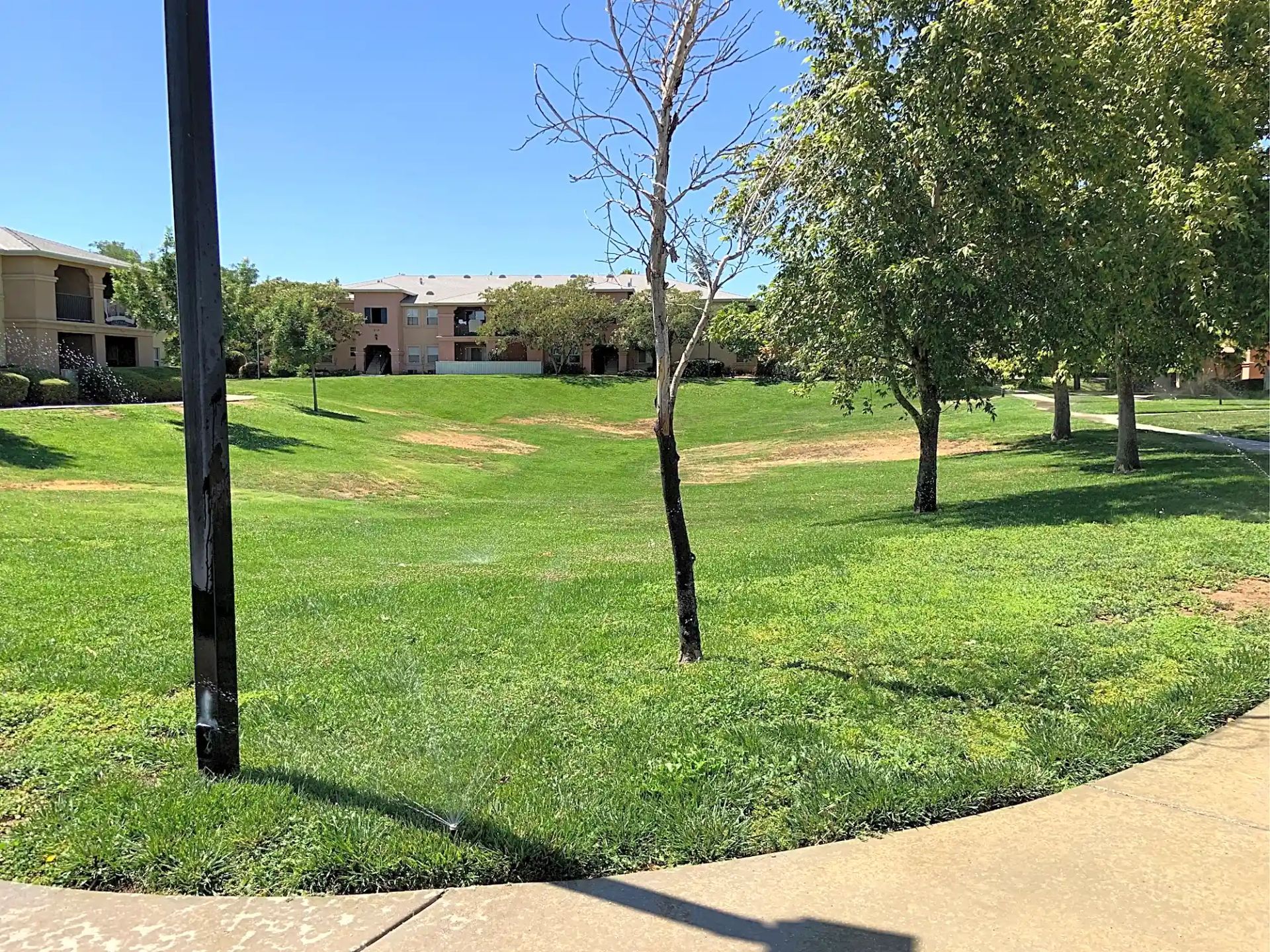 Sierra View Gardens  - Image 6