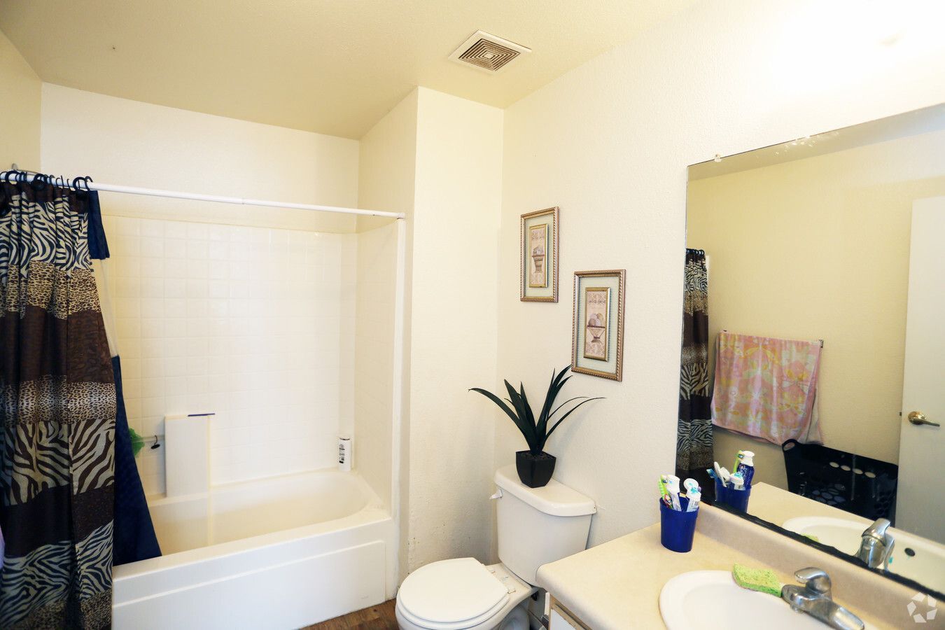 Vineyard Apartments - Image 7