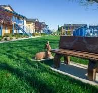 18242 Cherimoya Rd - Image 3