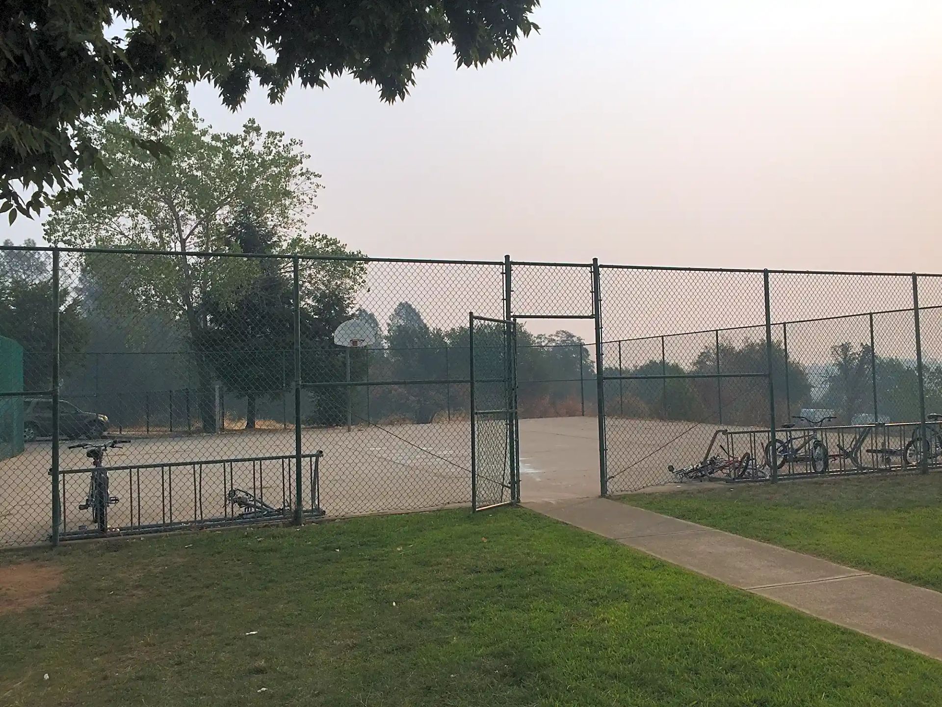 Tara Hills Garden - Image 6