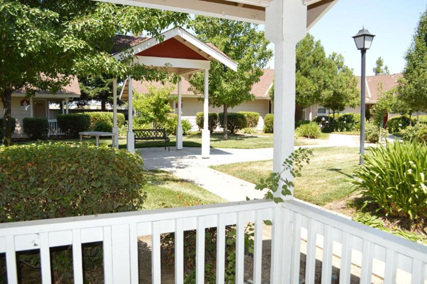 Comfrey Senior  - Image 1