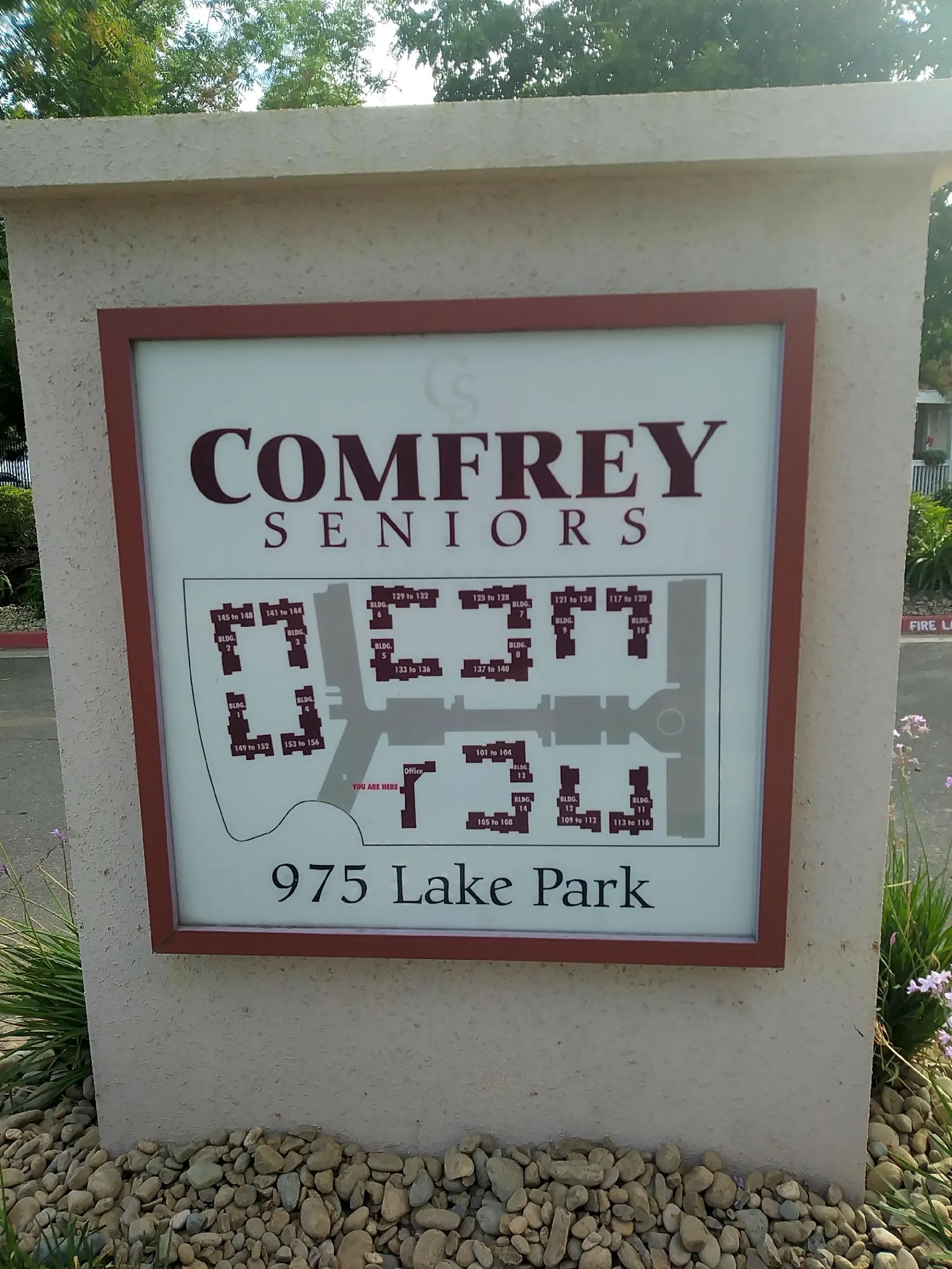 Comfrey Senior  - Image 3