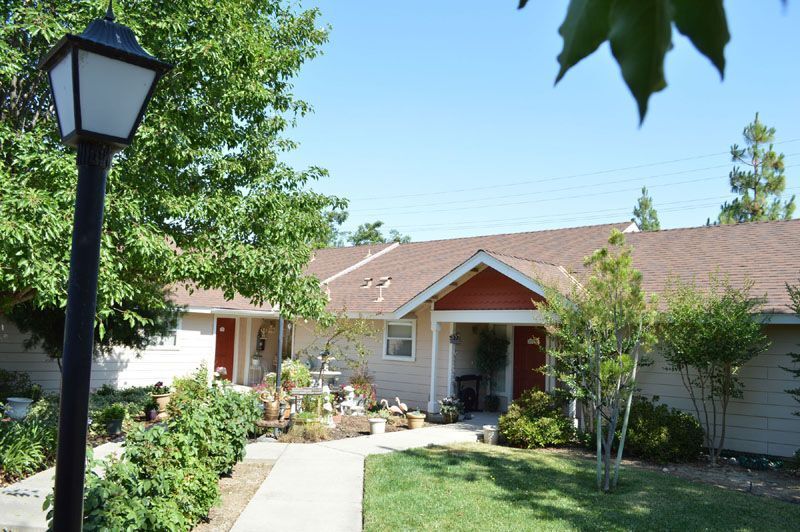 Comfrey Senior  - Image 4