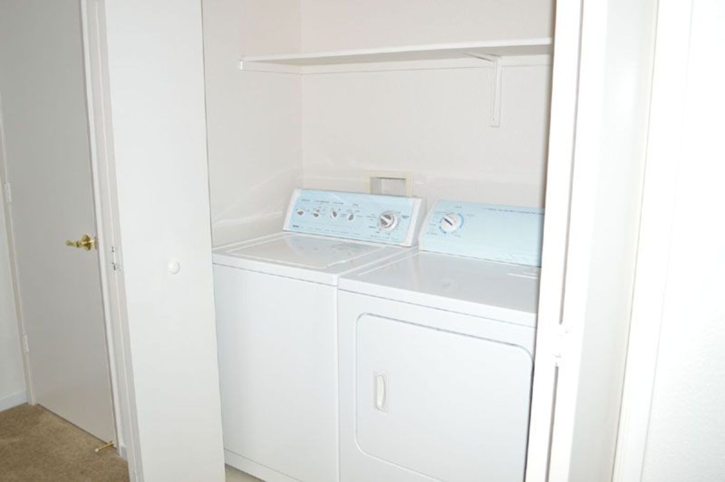 Comfrey Senior  - Image 6