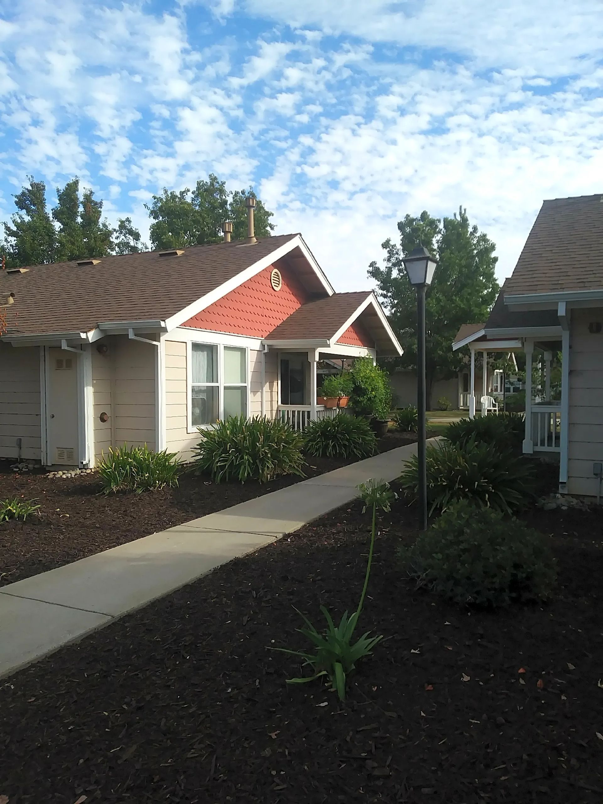 Comfrey Senior  - Image 9