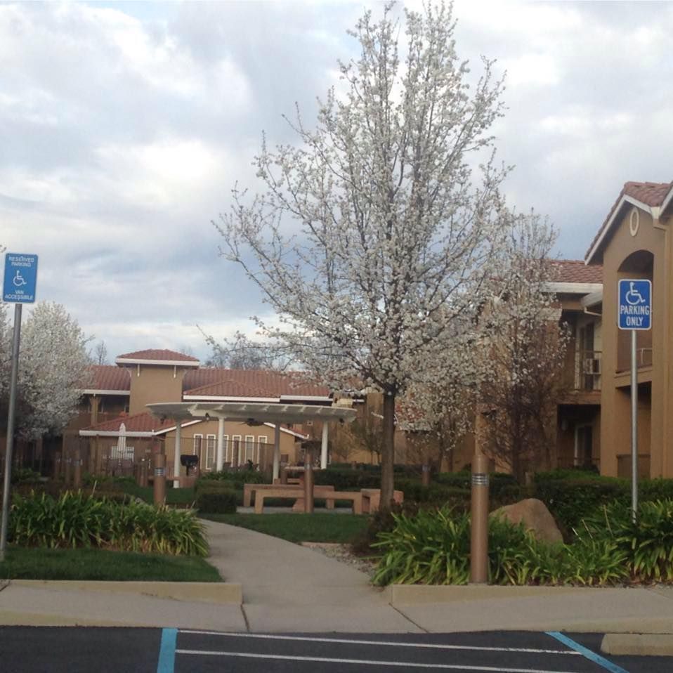 Regency Place Apartments - Image 1