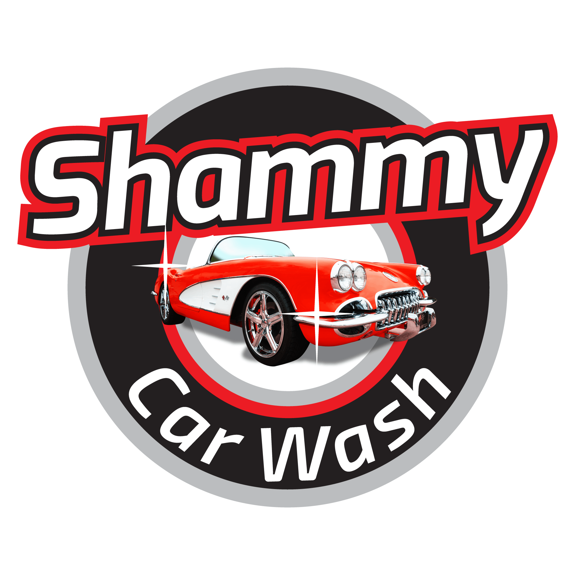 Top 5 Best Car Shammy Towel 
