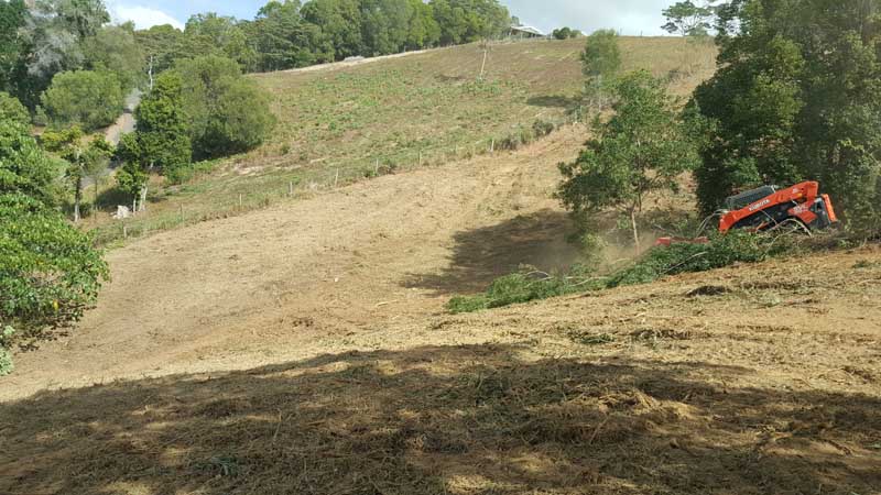orange tractor on land