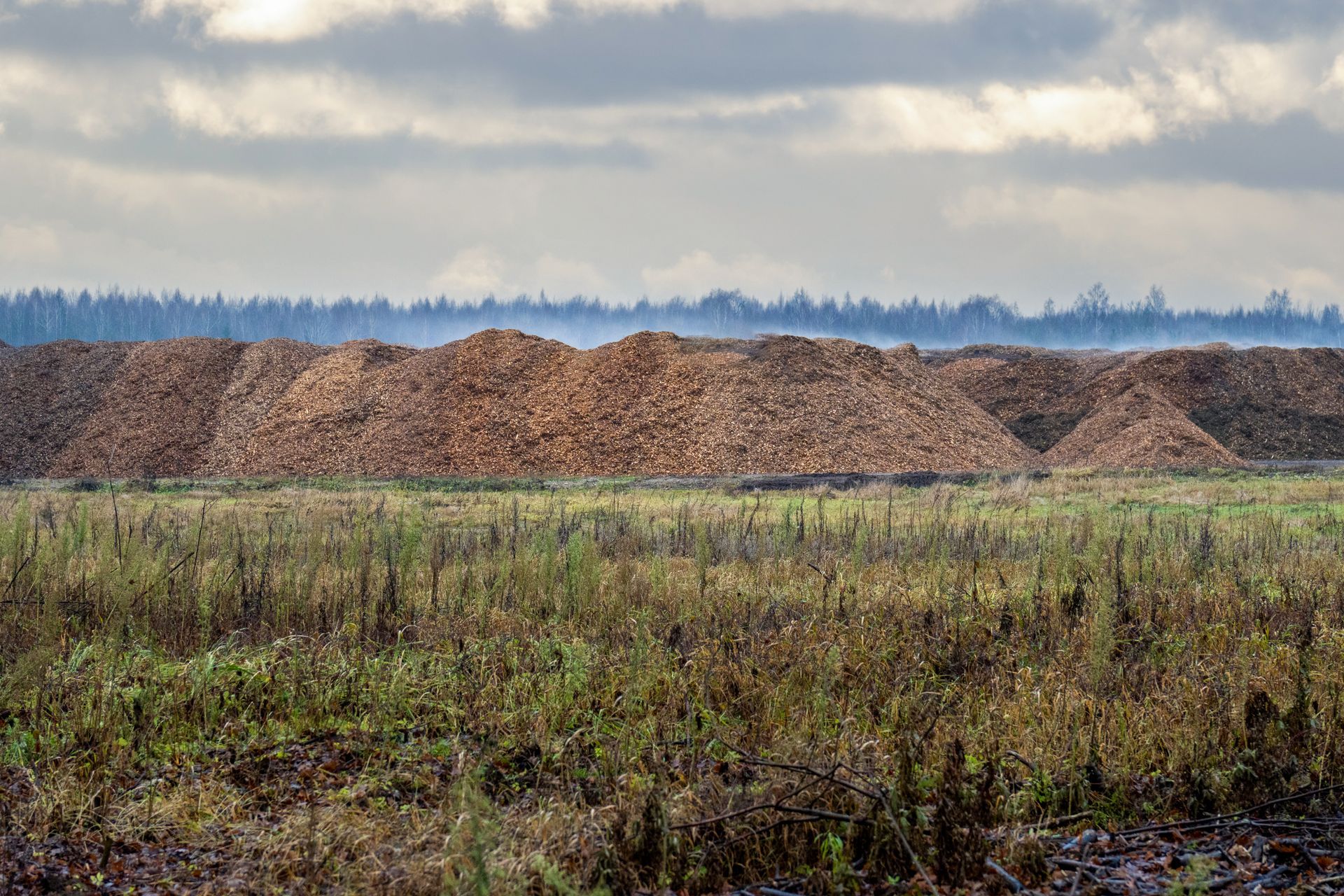A large pile of wood chips in a misty countryside landscape under a cloudy sky.