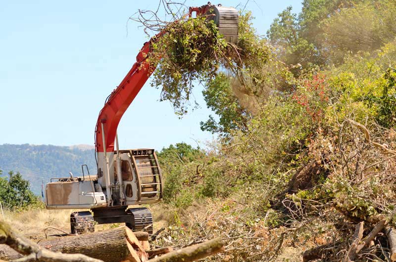 brush hoe clearing branches