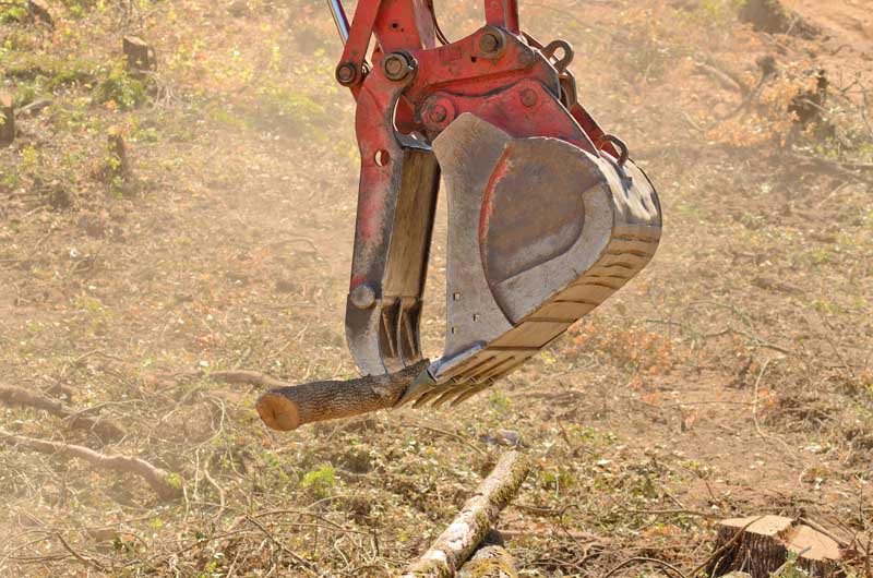 brush hoe