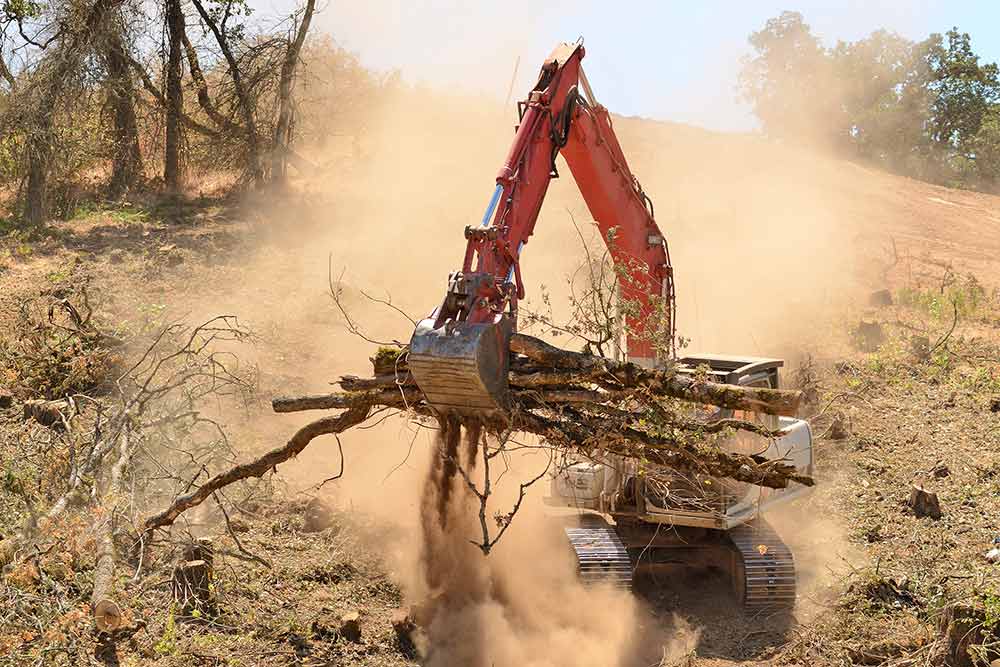 Land Clearing Services being performed in Sunshine Coast
