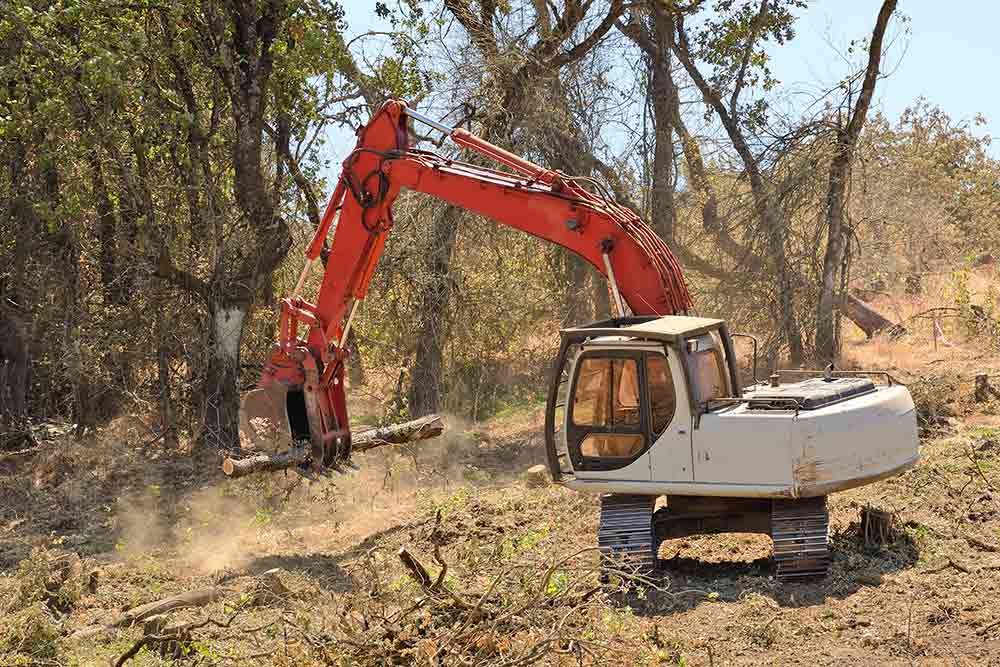 excavator clearing land
