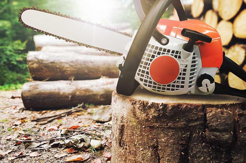 chainsaw on a tree trunk