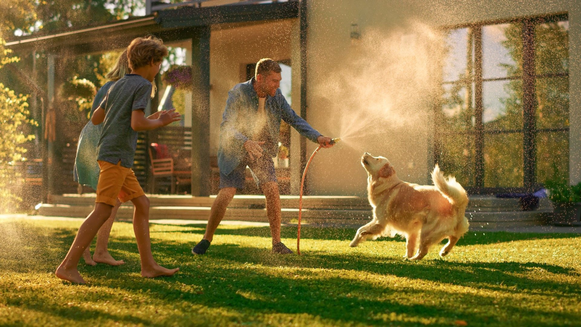 A family is playing with a dog in the backyard.