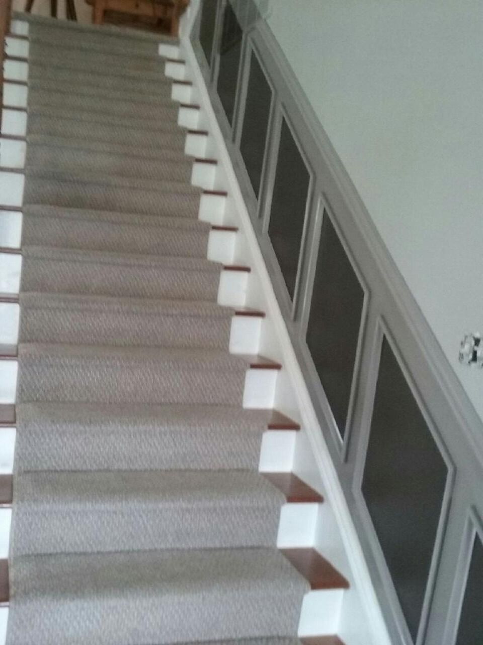 Carpeted staircase with white risers and a dark-paneled banister.