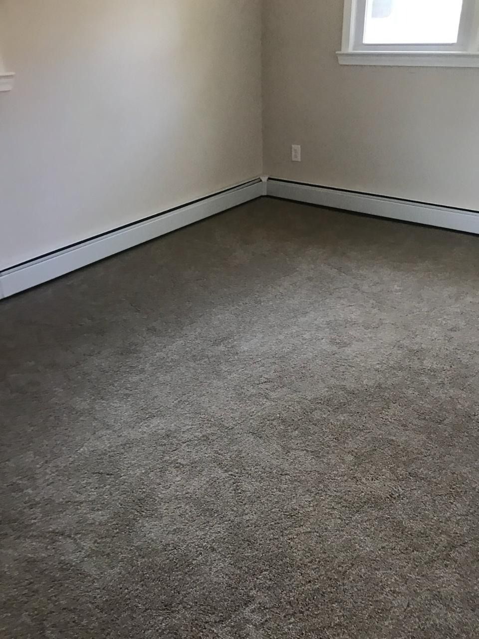 Empty room with beige walls, gray carpet, and a window.