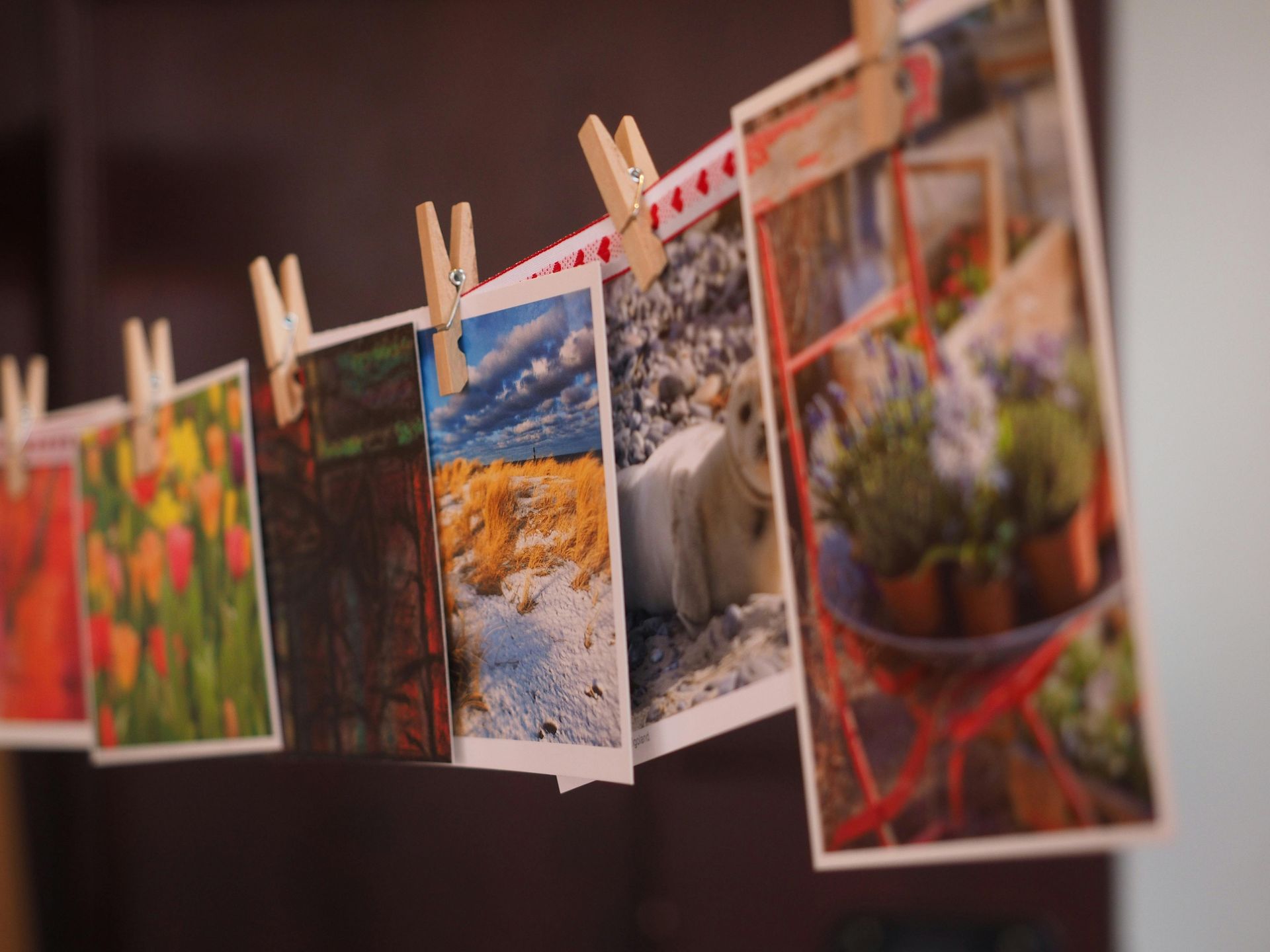 Photos clipped to a line with wooden clothespins, including flowers, landscapes, and a cat photo