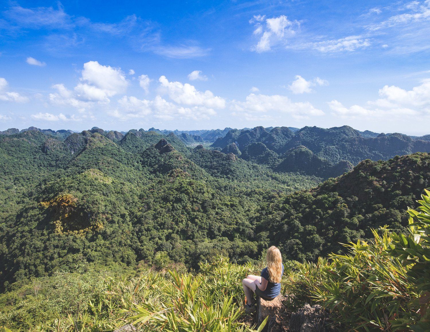 Discover the Untouched Nature of Cat Ba National Park