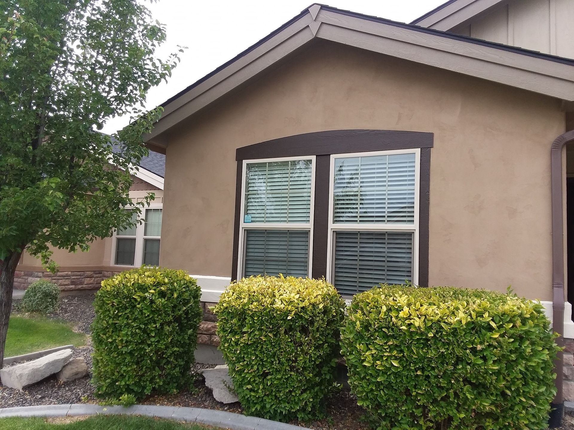A house with a lot of windows and bushes in front of it