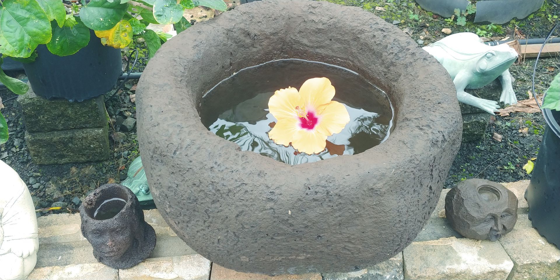 Pottery & Bowls 3 — Waimanalo, HI — Big Rock Garden