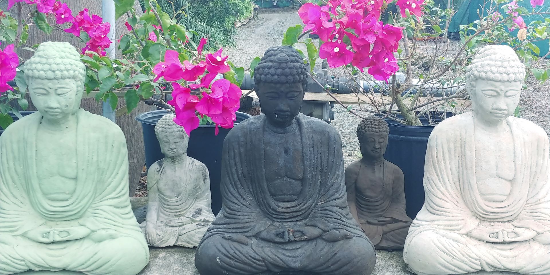 Buddhas 2 — Waimanalo, HI — Big Rock Garden
