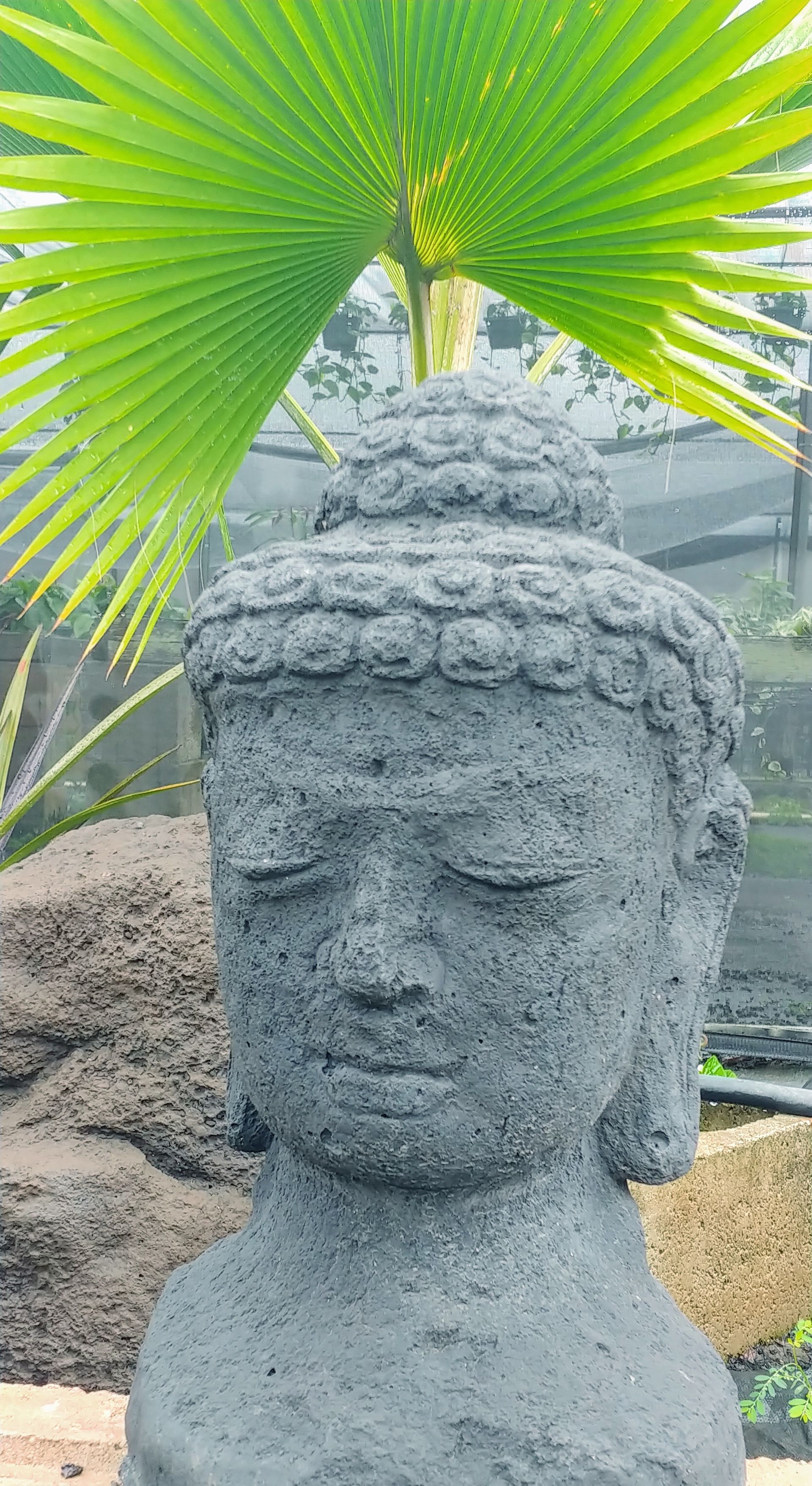 Buddhas 1 — Waimanalo, HI — Big Rock Garden