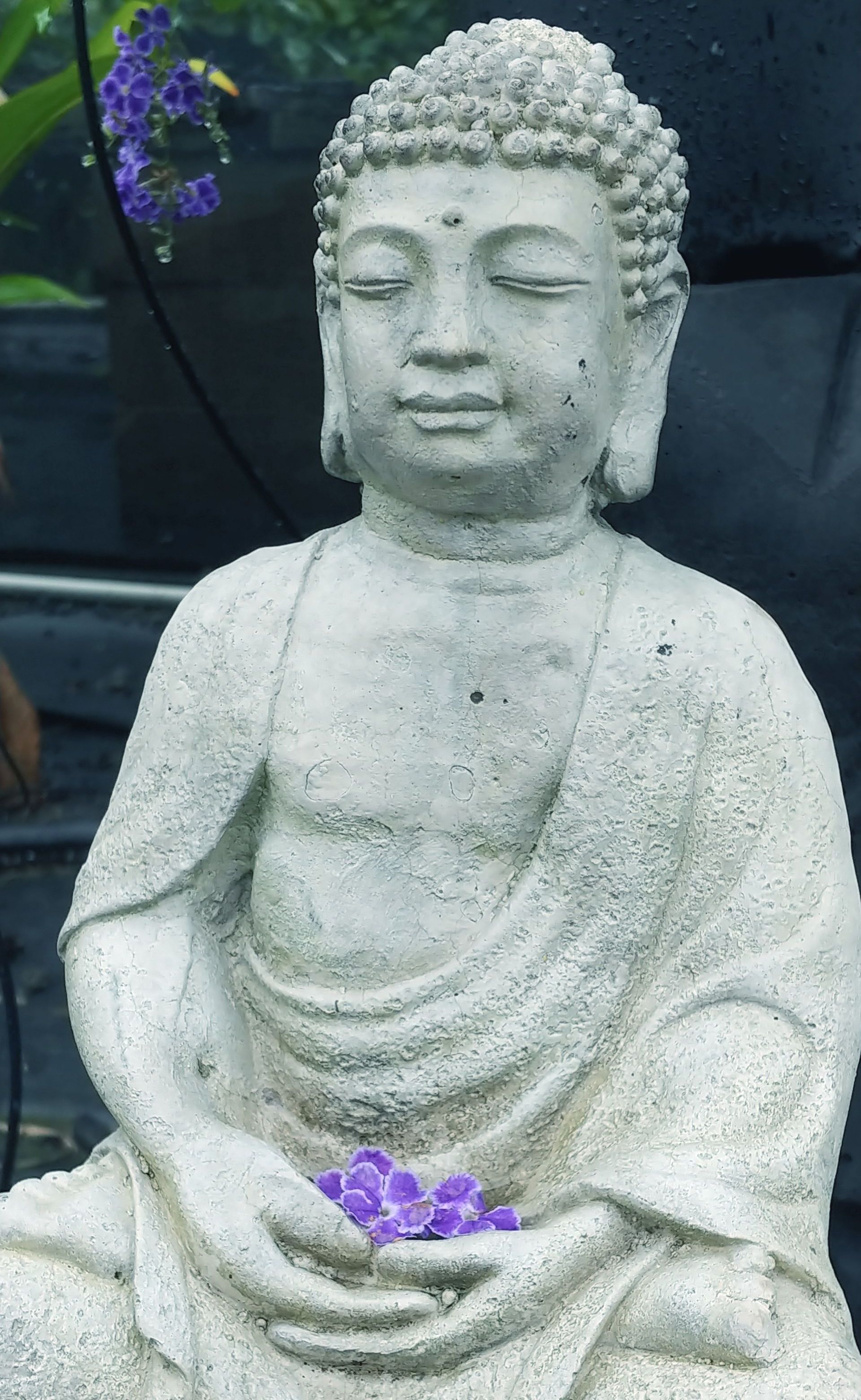 Buddhas — Waimanalo, HI — Big Rock Garden