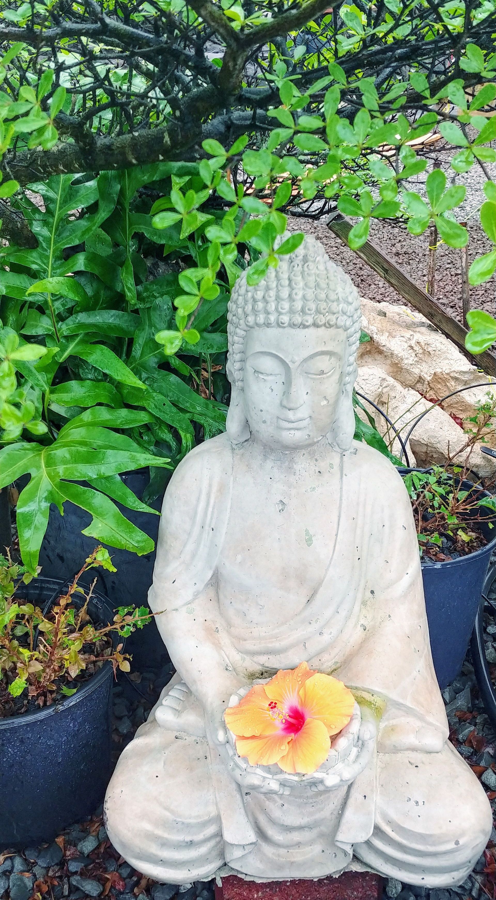 Japanese Accents — Waimanalo, HI — Big Rock Garden