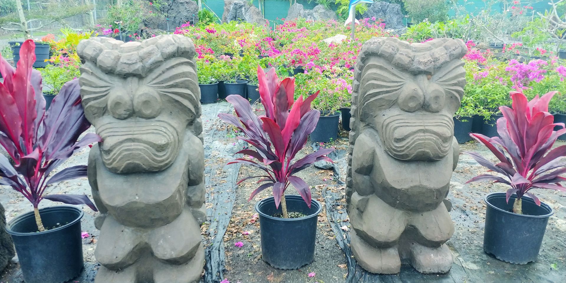 garden-decorations-waimanalo-hi-big-rock-garden
