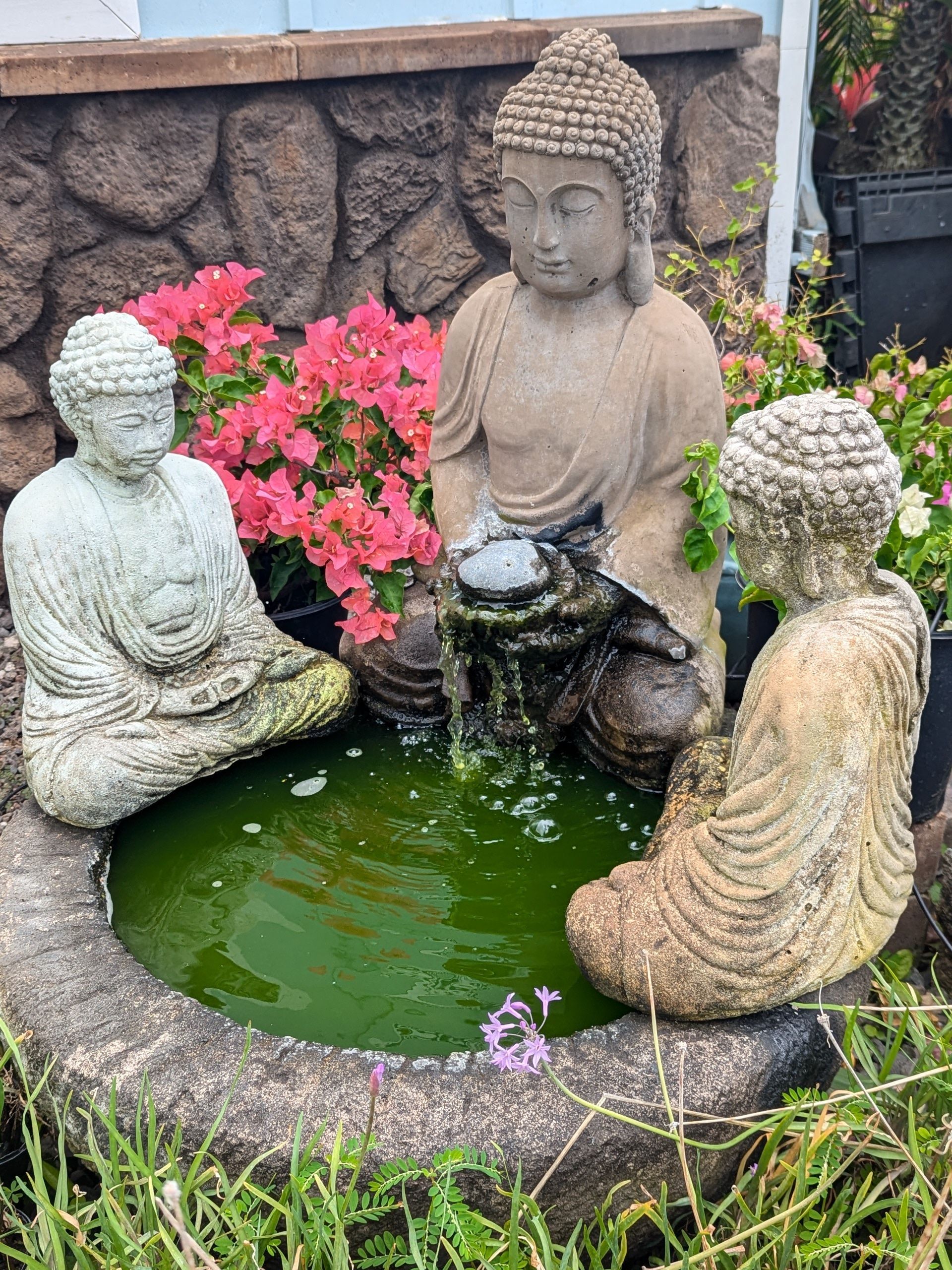 A group of statues of buddhas sitting around a pond.