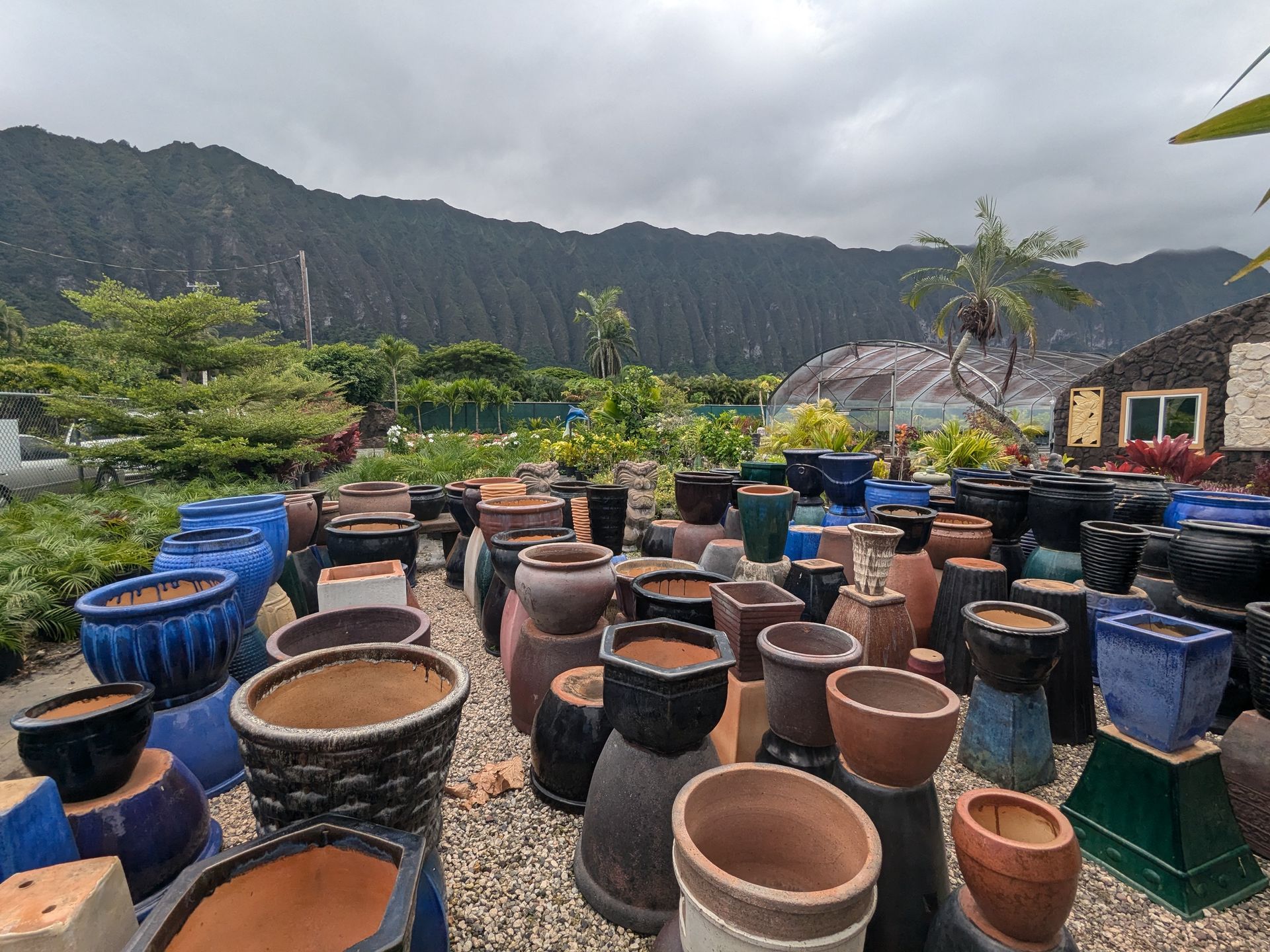 There are many different types of pots in this garden.