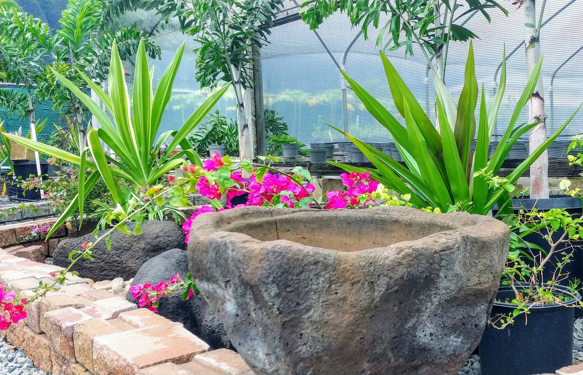 Pottery & Bowls 4 — Waimanalo, HI — Big Rock Garden