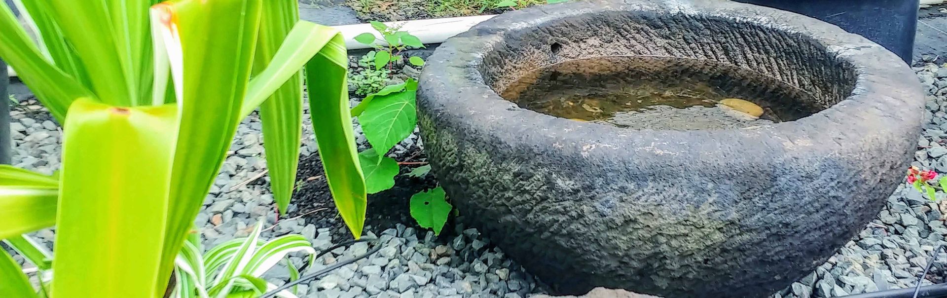 Pottery & Bowls 7 — Waimanalo, HI — Big Rock Garden