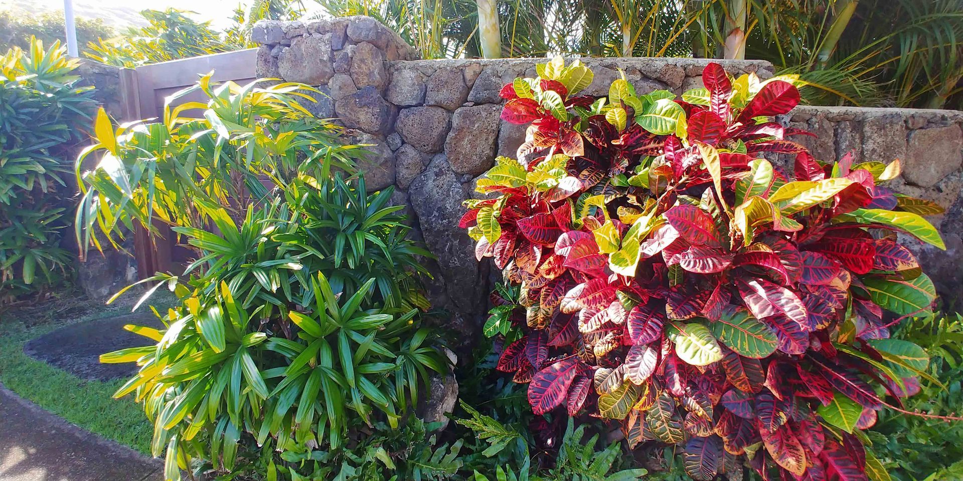 Landscape 20 — Waimanalo, HI — Big Rock Garden