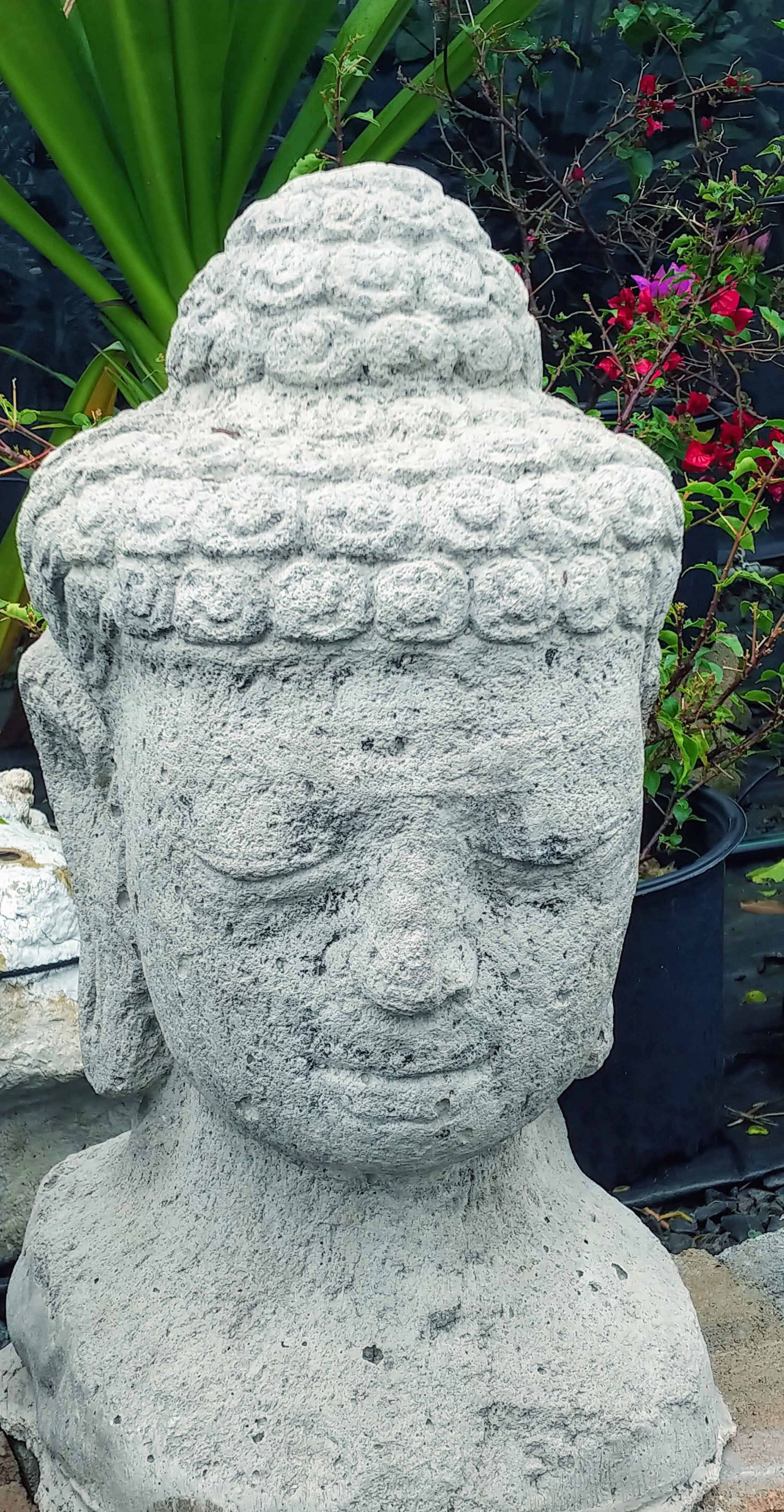 Buddhas 4 — Waimanalo, HI — Big Rock Garden