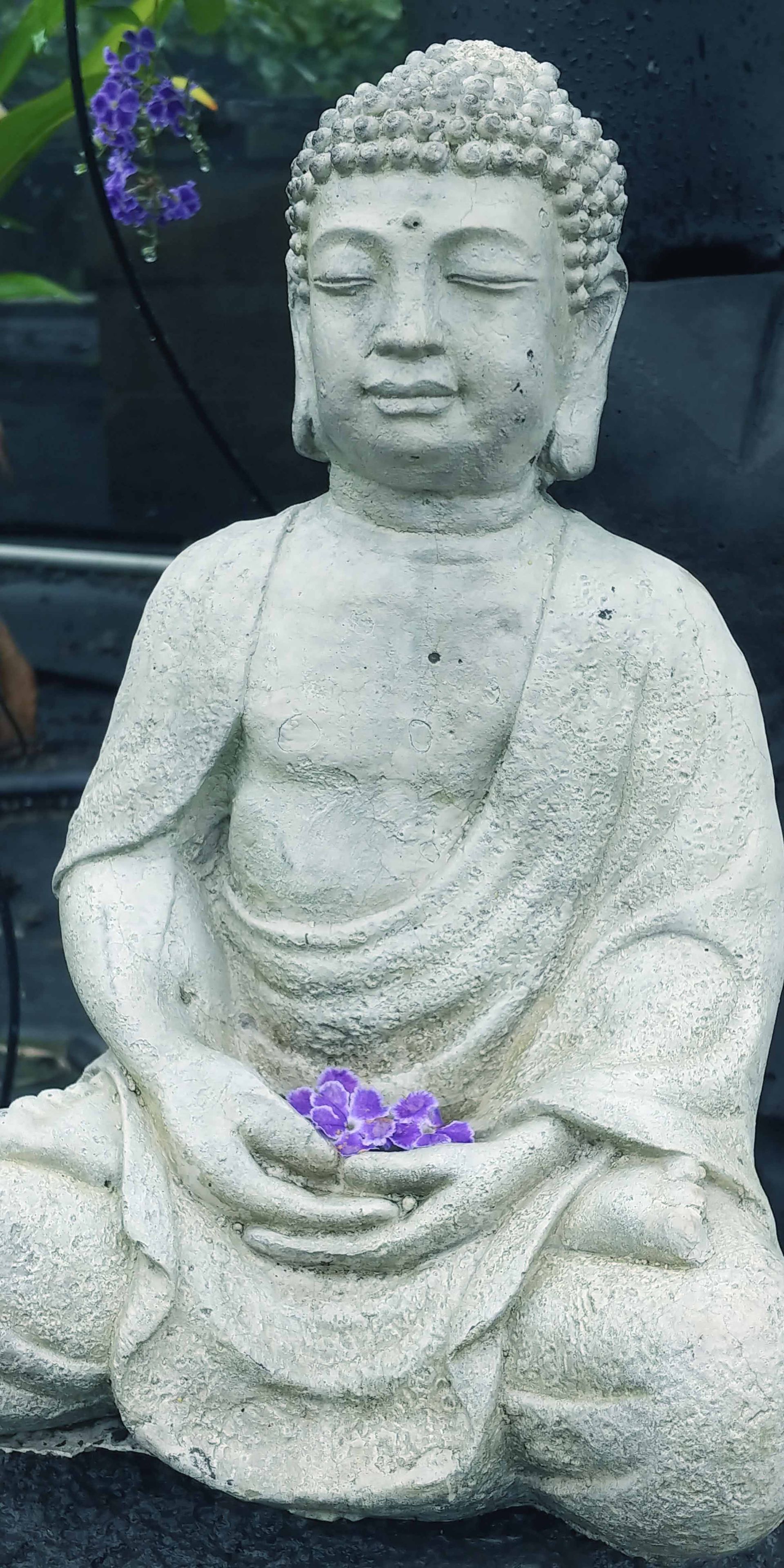 Buddhas 6 — Waimanalo, HI — Big Rock Garden