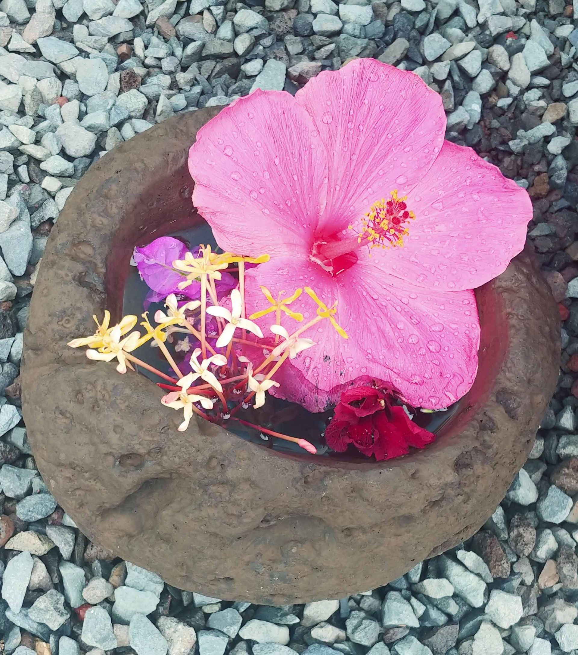 Pottery & Bowls 5 — Waimanalo, HI — Big Rock Garden