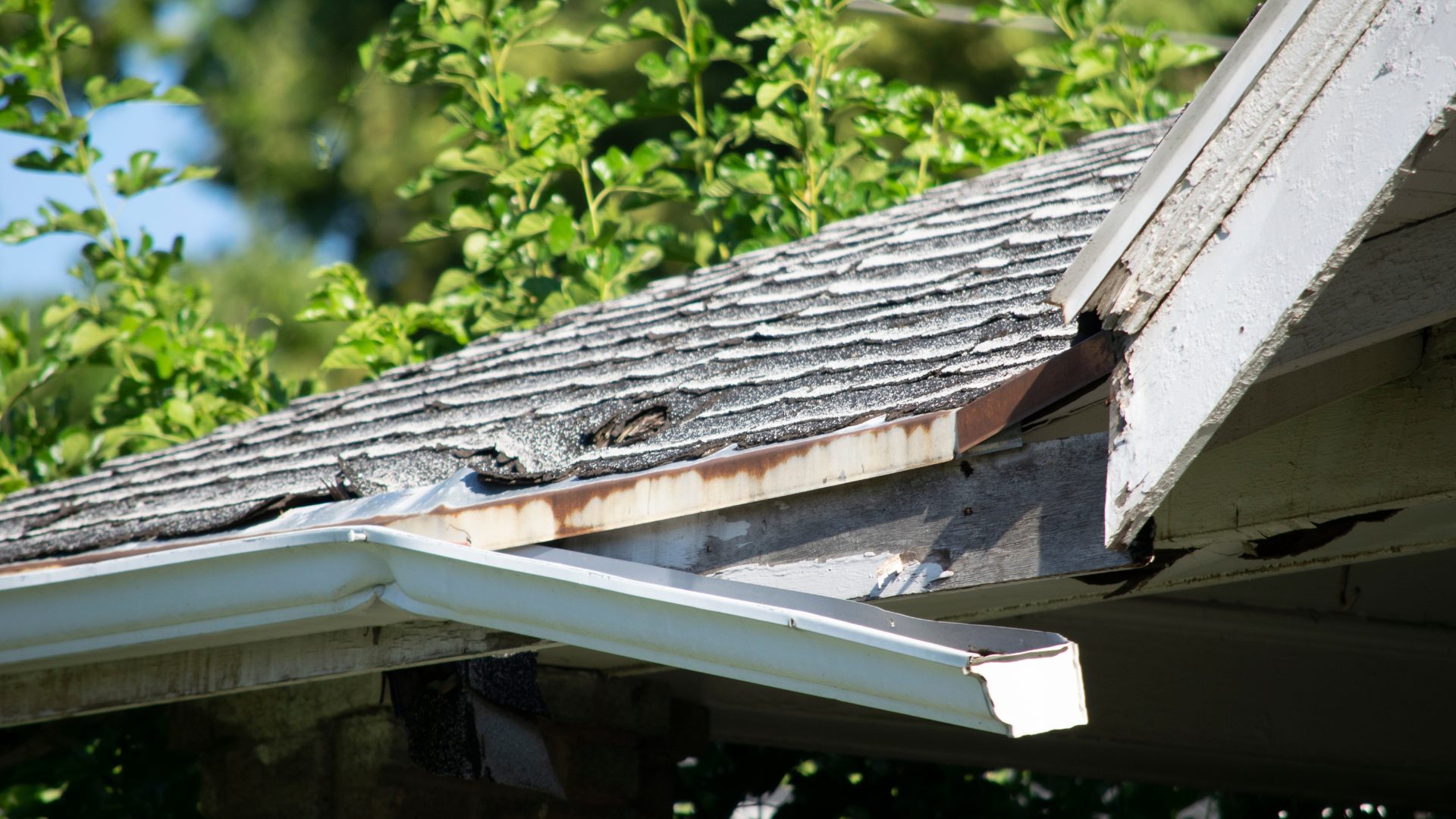 A close up of a roof with a gutter missing and a tree in the background.