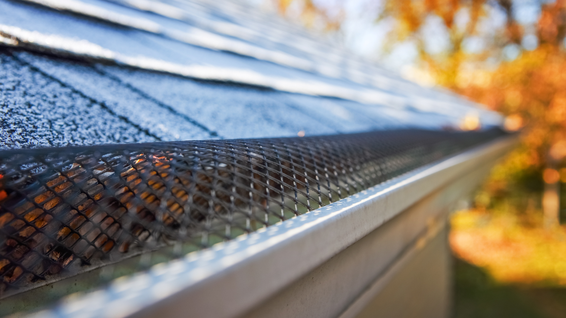 A close up of a gutter on a roof with a gutter guard.