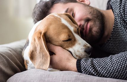 A Man Is Sleeping On A Couch With His Dog — Angels for Pets In Rockhampton, QLD