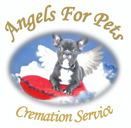 Angels for Pets