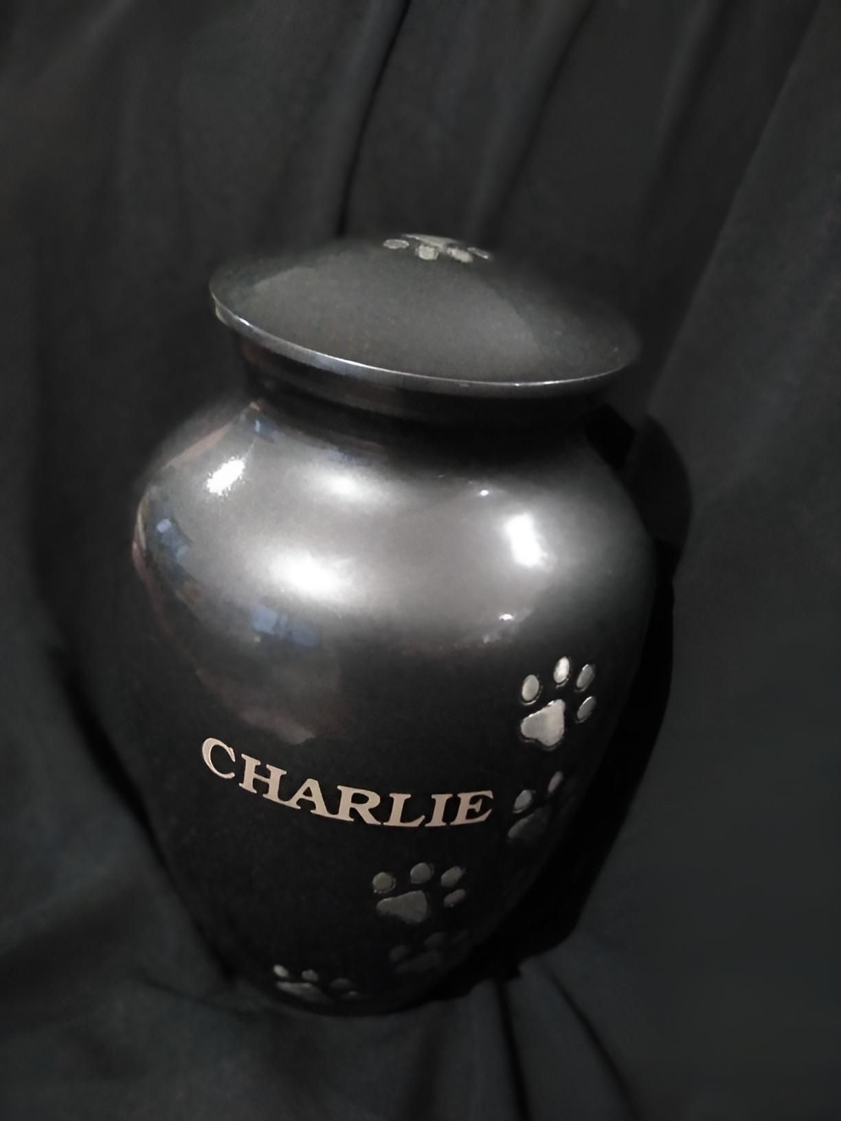 A Black Urn With The Name Charlie On It — Angels for Pets In Tanby, QLD