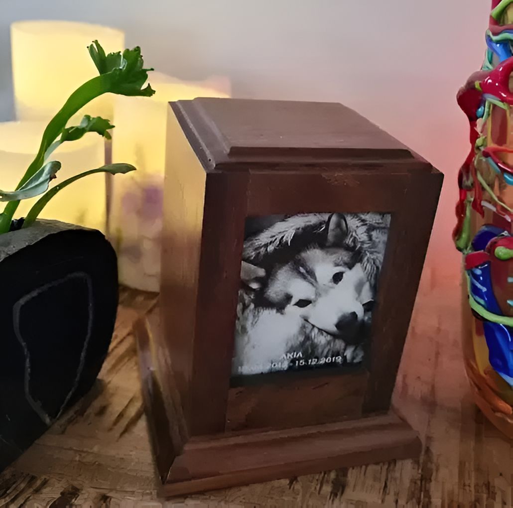 A Wooden Box With A Picture Of A Husky On It — Angels for Pets In Capricorn Coast, QLD