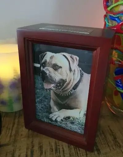 A Picture Of A Dog In A Wooden Frame Is Sitting On A Table — Angels for Pets In Tanby, QLD