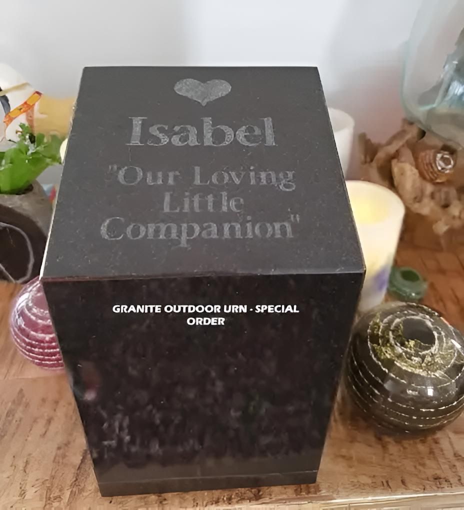 A Black Box With The Name Isabel On It — Angels for Pets In Tanby, QLD