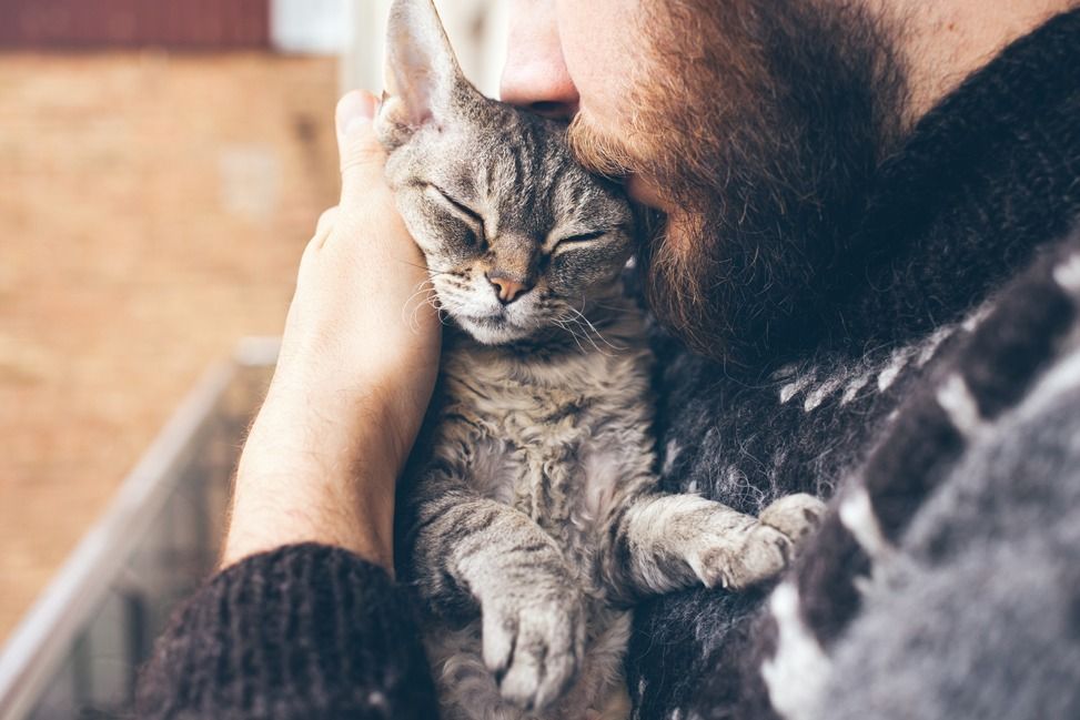 A Man With A Beard Is Holding A Cat In His Arms — Angels for Pets In Tanby, QLD