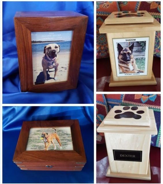 Four Wooden Urns With A Picture Of A Dog On Them — Angels for Pets In Tanby, QLD