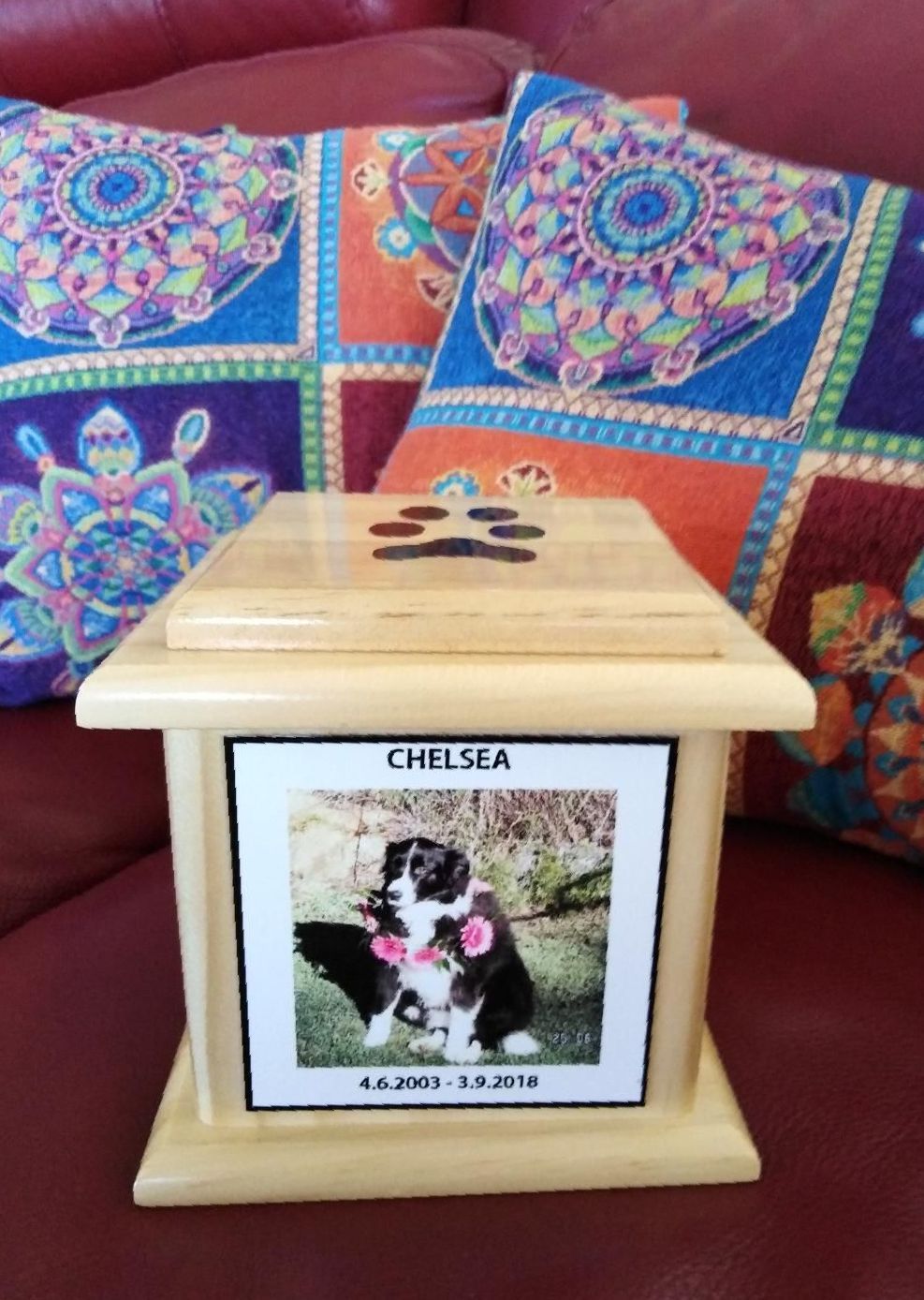 A Wooden Box With A Picture Of A Dog And The Name Chelsea On It — Angels for Pets In Tanby, QLD